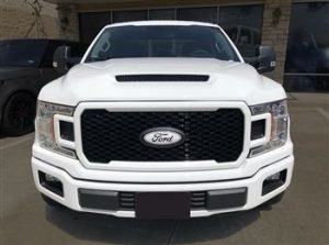 2015-2019 F150 Hoods